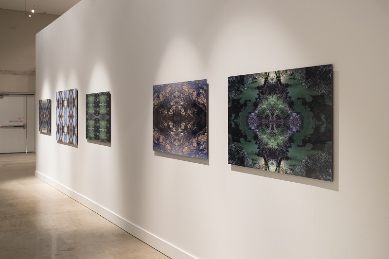 The State We're In Water Installation, Robin Lasser The State We're In Water Installation, Robin Lasser