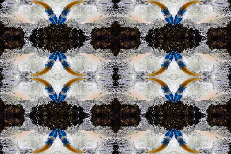 Blue River and Sturgeon Mandala Blue River and Sturgeon Mandala