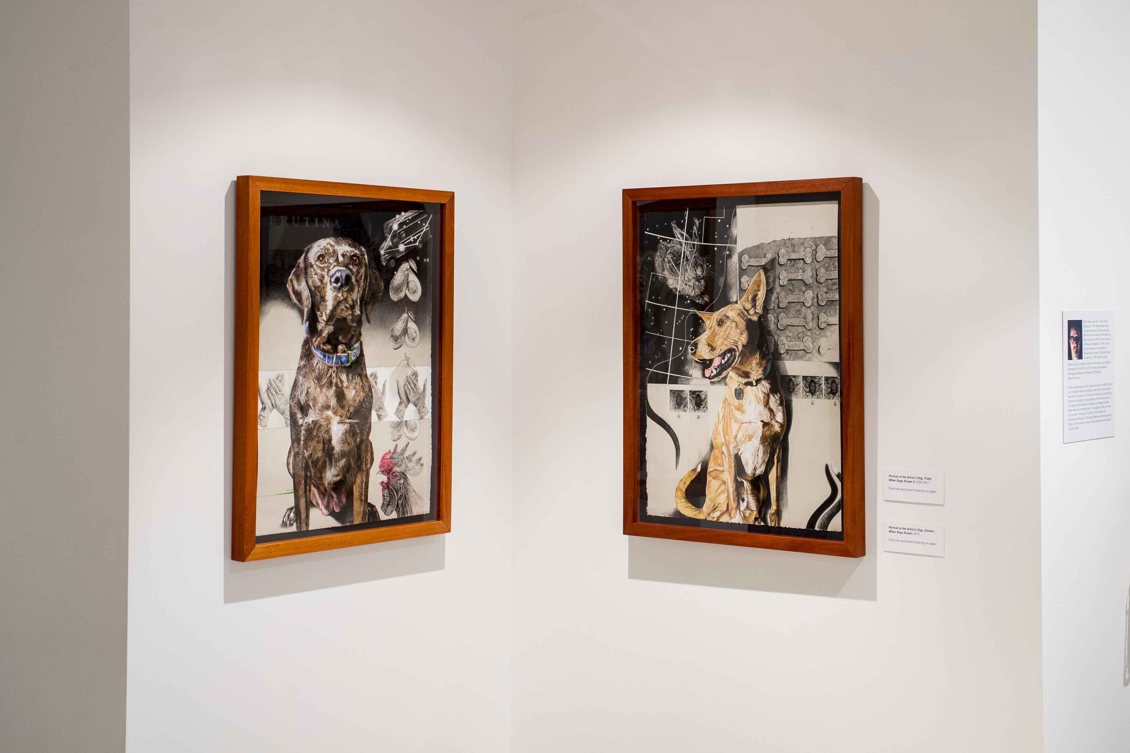 Mark Sisson Themes on Being Installation