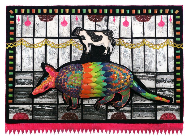 FFFF Conley the Armadillo and the Cow FFFF Conley the Armadillo and the Cow