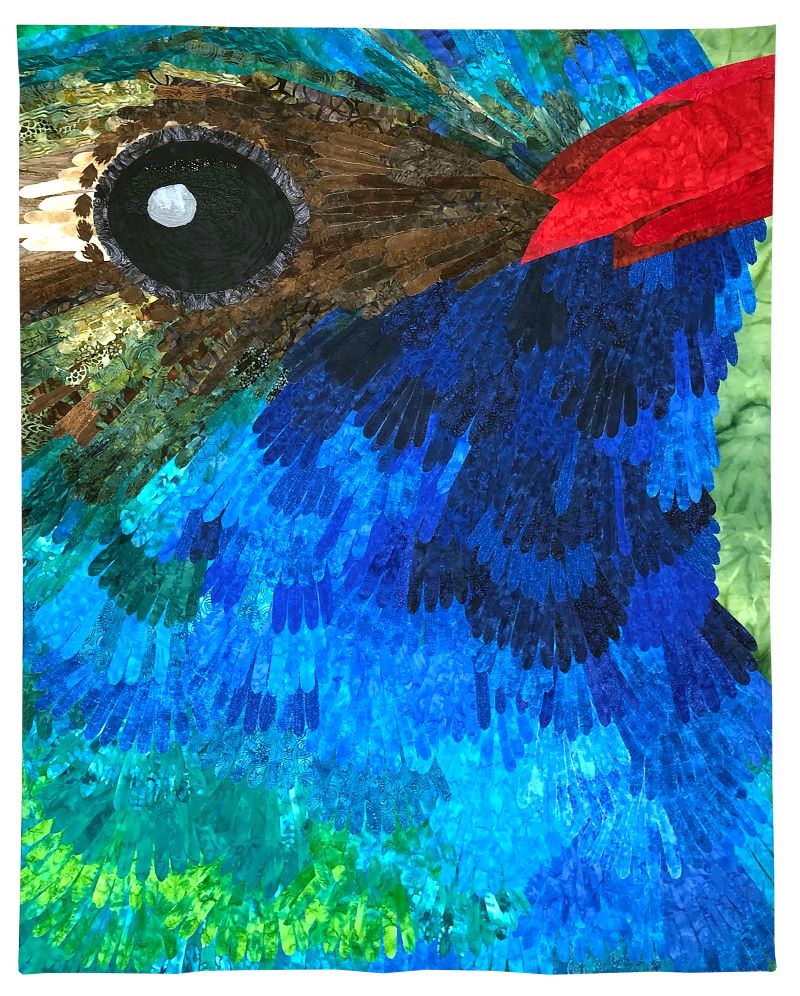 FFFF Haig Broad Billed Hummingbird FFFF Haig Broad Billed Hummingbird