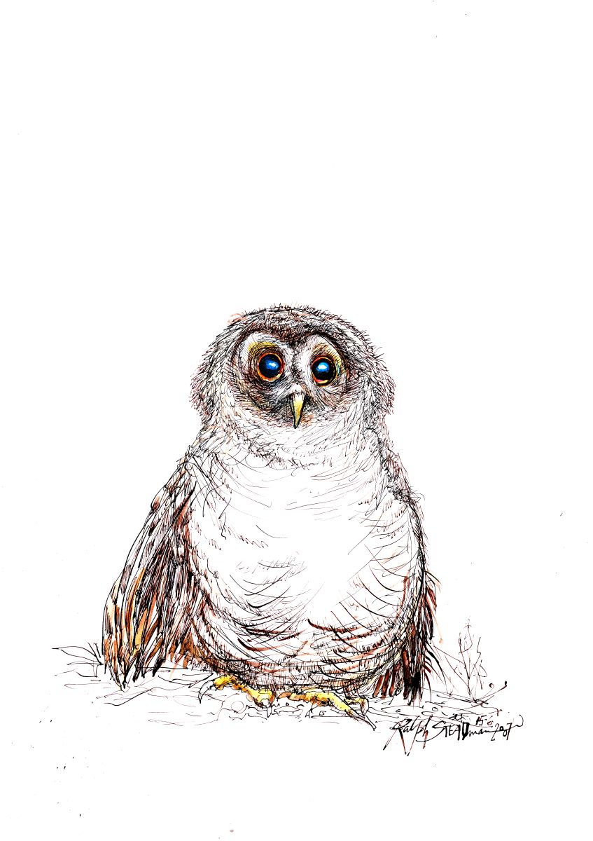 Ralph Steadman Ralph Steadman