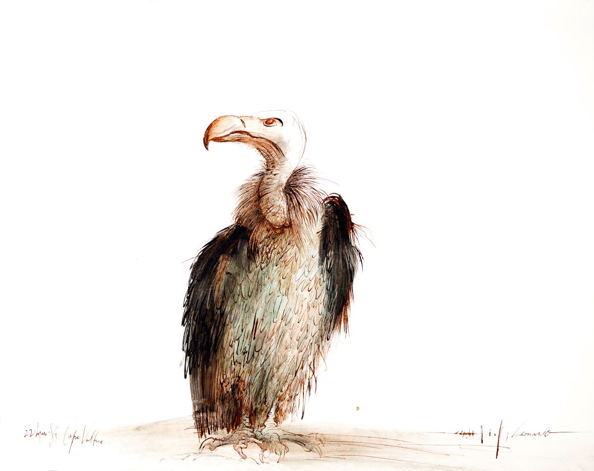 Ralph Steadman Ralph Steadman
