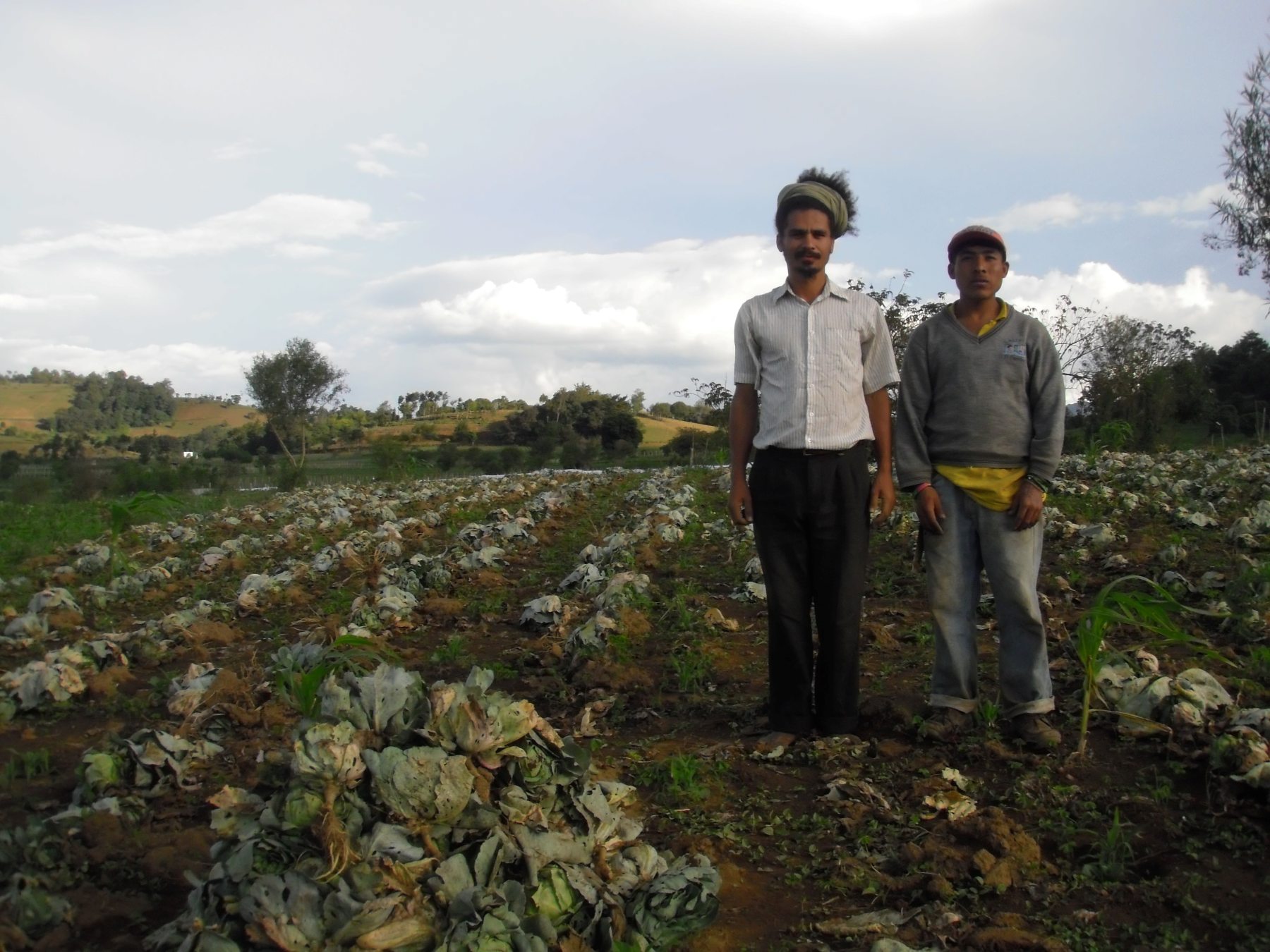 Paulo Nazareth, Untitled Paulo Nazareth, Untitled photography of two men on the fields